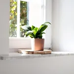 Malia Appartement