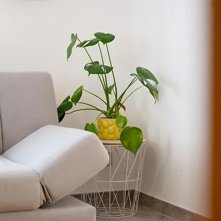 Appartement Malia Neubulach